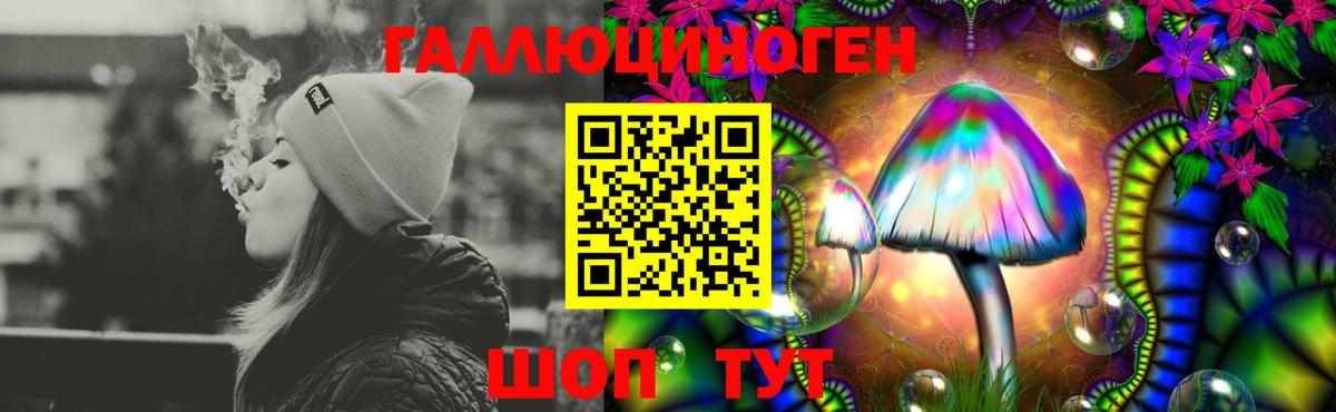 купить   Вход с VPN  Новоалександровск  Псилоцибиновые грибы Magic Shrooms 